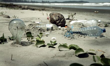 Costa Rica’s Osa Peninsula Efforts to Eliminate Single Use Plastic
