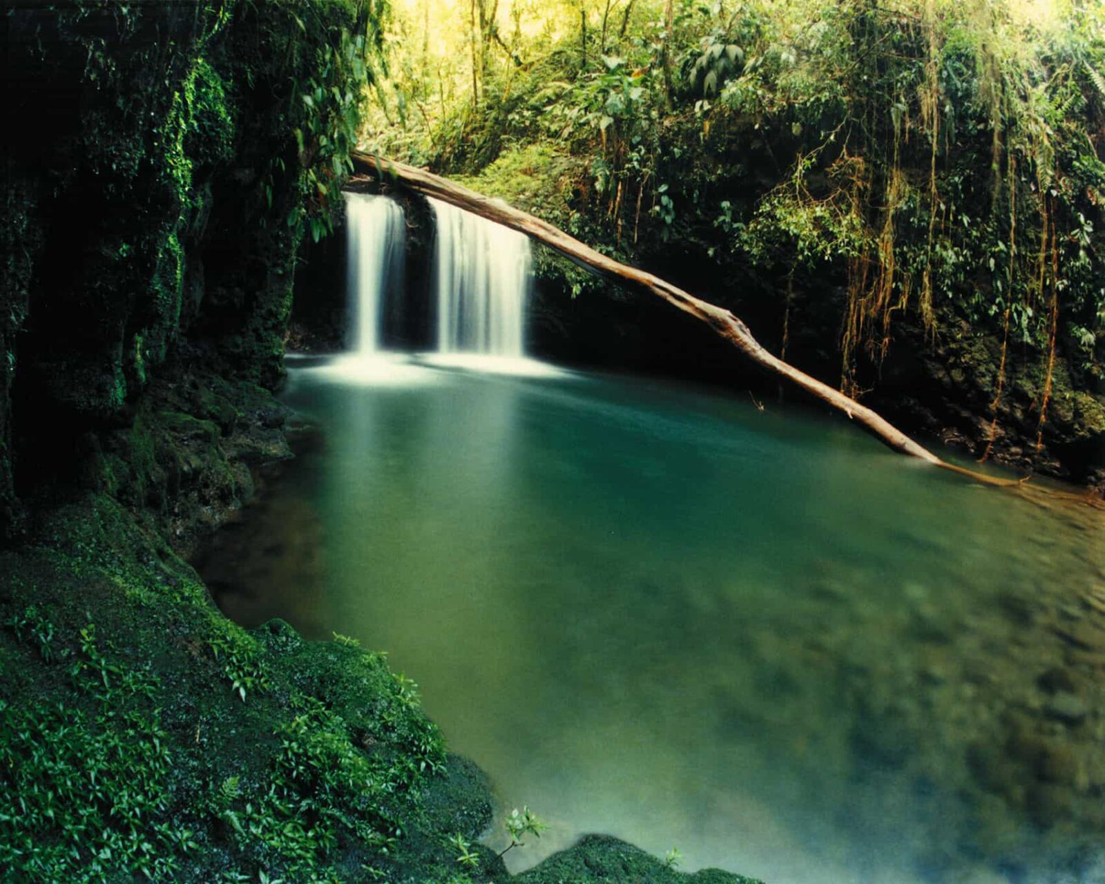 Experience The Magic of Ancient Costa Rica at Braulio Carillo National Park