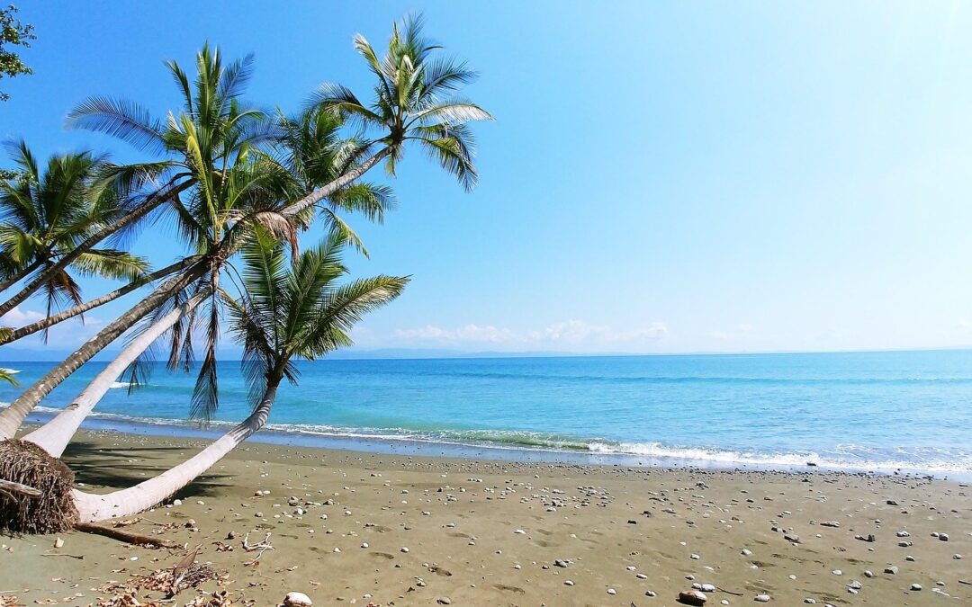 Pura Vida: Costa Rica Is The Happiest Country In The World