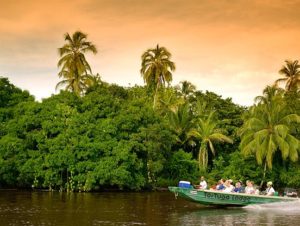 Tortuguero National Park Ranks in Top Favorites in Costa Rica